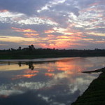 Narmada River near Jabalpur